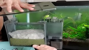 Best Filter for Goldfish Tank: Top Picks by the Numbers