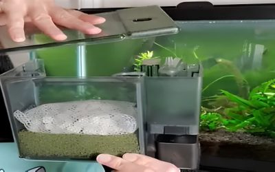 Best Filter for Goldfish Tank: Top Picks by the Numbers