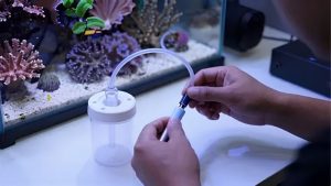 Best Protein Skimmer for 100 Gallon Reef Tank: Top Picks
