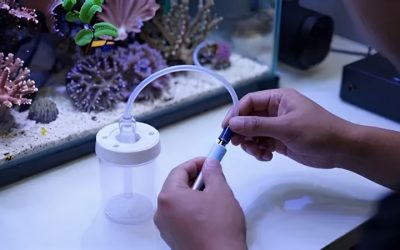Best Protein Skimmer for 100 Gallon Reef Tank: Top Picks