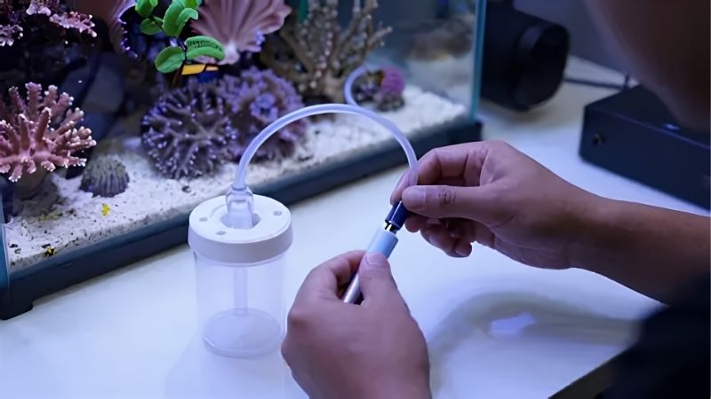 Sizing first: figures that rule a 100 gallon skimmer
