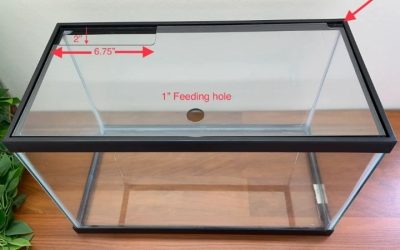 Best Filter for 10 Gallon Tank Setups: Sized by Turnover