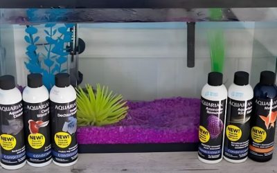 Best Aquarium Water Conditioner: Dose, Range and Safety