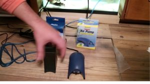 Tetra Whisper vs Aqueon Quietflow Filters: Top Tested Pick