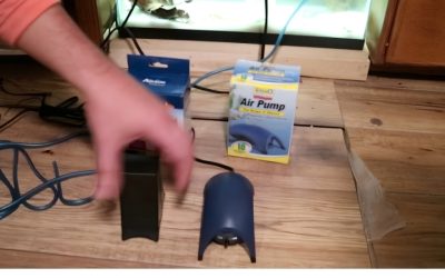 Tetra Whisper vs Aqueon Quietflow Filters: Top Tested Pick