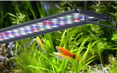 Aquarium Light Color Spectrum for Plants: Kelvin and PAR
