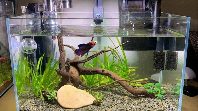 The Tank Size Chart and How to Read It