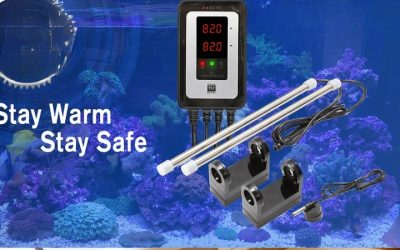 Titanium vs Glass Aquarium Heater Which Is Safer: Compared