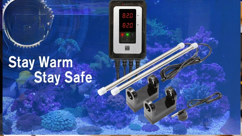 titanium vs glass aquarium heater which is safer