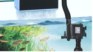 Best Aquarium Filter for Beginners: Compared by the Numbers