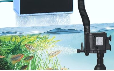 Best Aquarium Filter for Beginners: Compared by the Numbers