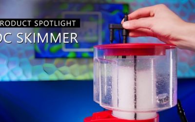 Simplicity 320DC vs 540DC Protein Skimmer Compared Guide