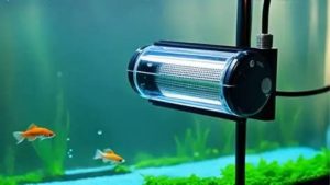 Best Heater for Betta Fish: Wattage, Accuracy and Safety