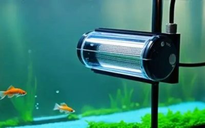Best Heater for Betta Fish: Wattage, Accuracy and Safety