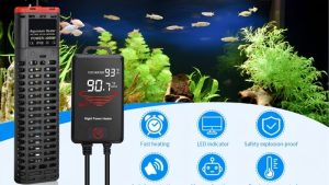 Best Heater for 20 Gallon Aquarium: Watts and Placement