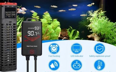 Best Heater for 20 Gallon Aquarium: Watts and Placement