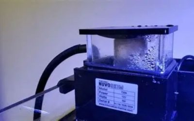 Best In Sump Protein Skimmer for Large Reef: How to Pick