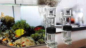 Best IceCap HOB Skimmer for Nano Reef: Sizing and Picks
