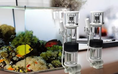 Best IceCap HOB Skimmer for Nano Reef: Sizing and Picks