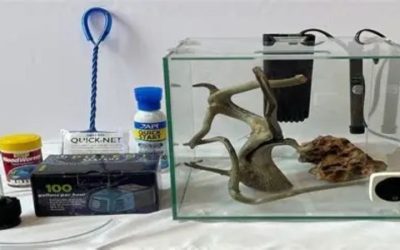 Best Aquarium Starter Kit: What Is In It and What Is Not