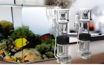 Best Hang On Back Protein Skimmer for Reef: How to Pick