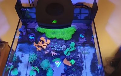 Best AI Prime 16 HD for Nano Reef Tanks: A Buyer’s Guide