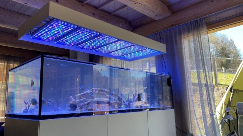 what par do you need from reef led light