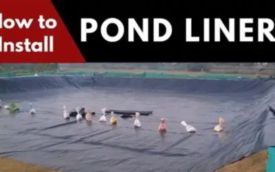 What Pond Liner Thickness Do You Need: Best Expert Shortlist