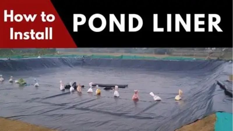 what pond liner thickness do you need