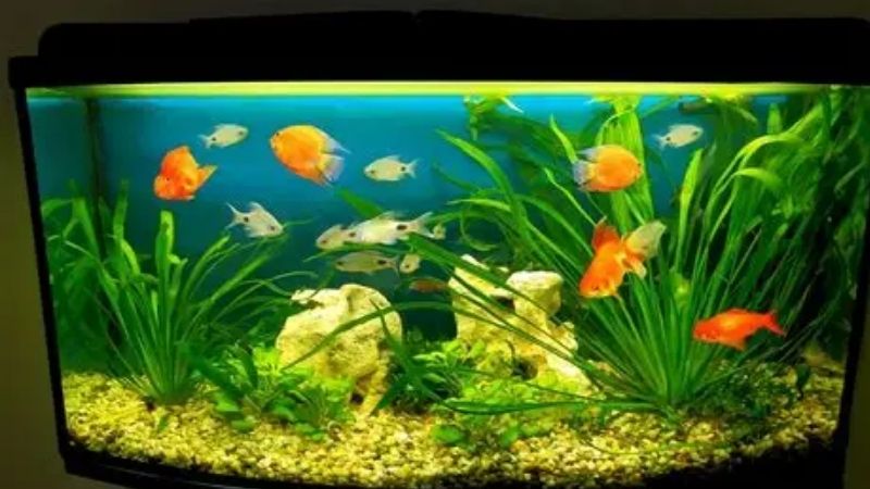 what size aquarium overflow box do you need
