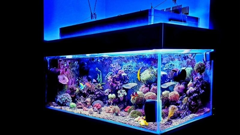 what size aquarium sump do you need