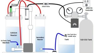 What Size Calcium Reactor Do You Need: Best Expert Guide