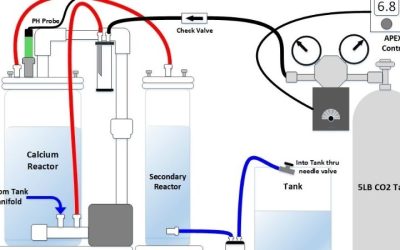 What Size Calcium Reactor Do You Need: Best Expert Guide