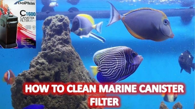 what size canister filter do you need