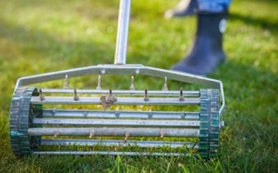 What Size Pond Aerator Do You Need for a Pond: Sizing Help