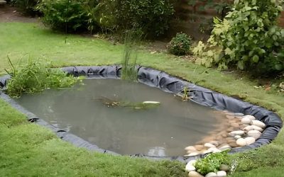 What Size Pond Liner Do You Need for a Pond: Best Compared