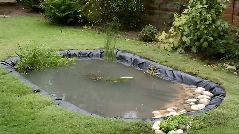 what size pond liner do you need for a pond
