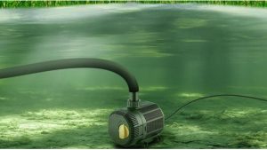 What Size Pond Pump Do You Need for a Pond: Proven Top Guide