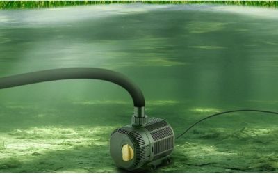 What Size Pond Pump Do You Need for a Pond: Proven Top Guide