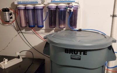 What Size RODI System Do You Need: Best Expert Buying Guide