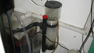 Best External Protein Skimmer for Sumpless Setups Guide