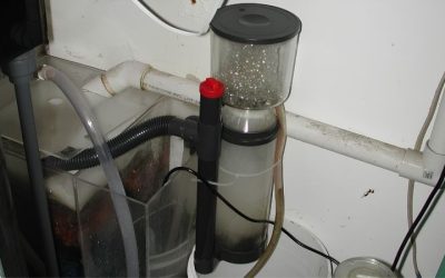 Best External Protein Skimmer for Sumpless Setups Guide