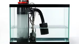 Best Coralife DC Skimmer for Saltwater Tank: How to Pick