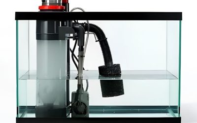 Best Coralife DC Skimmer for Saltwater Tank: How to Pick