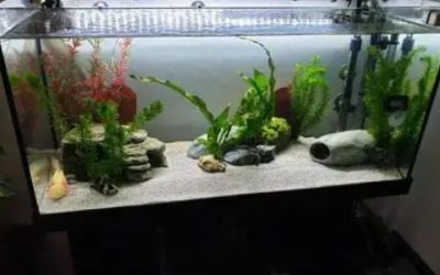 What to Look for in a 75 Gallon Aquarium Kit: Top Compared