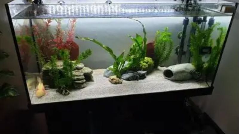 what to look for in a 75 gallon aquarium kit