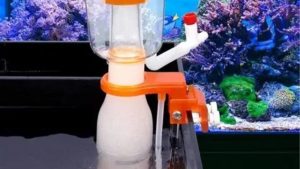 Best Skimmer for Heavily Stocked Fish Tank: How to Pick