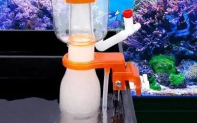 Best Skimmer for Heavily Stocked Fish Tank: How to Pick