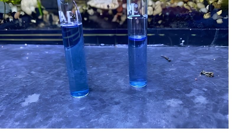 Why a Nitrite Spike in New Aquarium Tanks Happens
