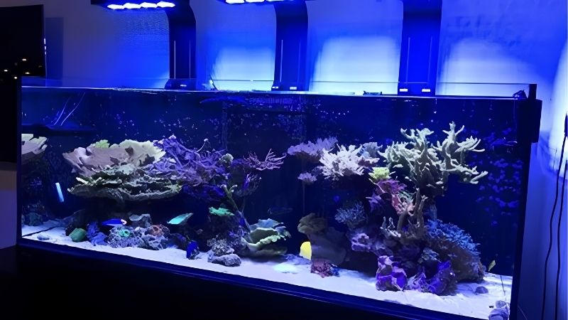 Why Automatic Top-Off Is Equipment Rather Than Convenience